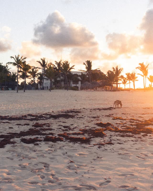 Vacation photography